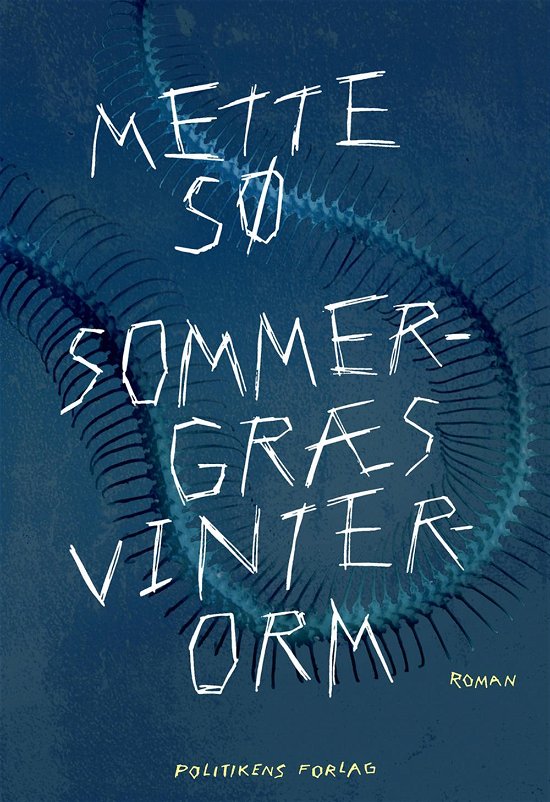 Cover for Mette Sø · Sommergræs, vinterorm (Sewn Spine Book) [1st edition] (2017)