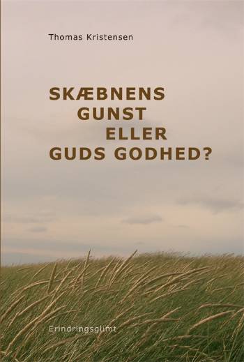 Cover for Thomas Kristensen · Skæbnens gunst eller Guds godhed? (Book) [1. wydanie] (2007)