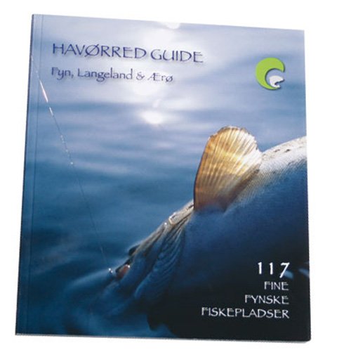 Meerforellen – Guide, Fünen, Langeland und Ærø -  - Boeken - Fyns Amt - 9788799384815 - 31 december 2007
