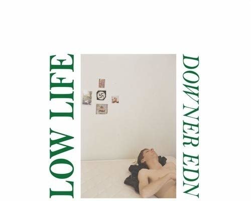 Cover for Low Life · Downer Edn (LP) (2019)