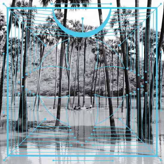 Cover for Four Tet · Pink (LP) (2015)