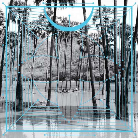 Cover for Four Tet · Pink (LP) (2023)