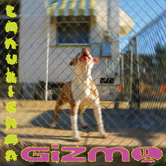 Cover for Tanukichan · Gizmo (LP) (2023)