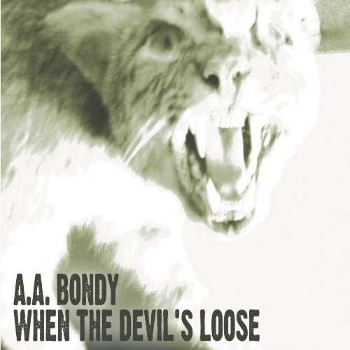 Cover for A.a. Bondy · When the Devil's Loose (LP) [Limited edition] (2009)