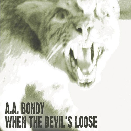 When the Devil's Loose - A.a. Bondy - Music - FOLK - 0767981119816 - October 26, 2009