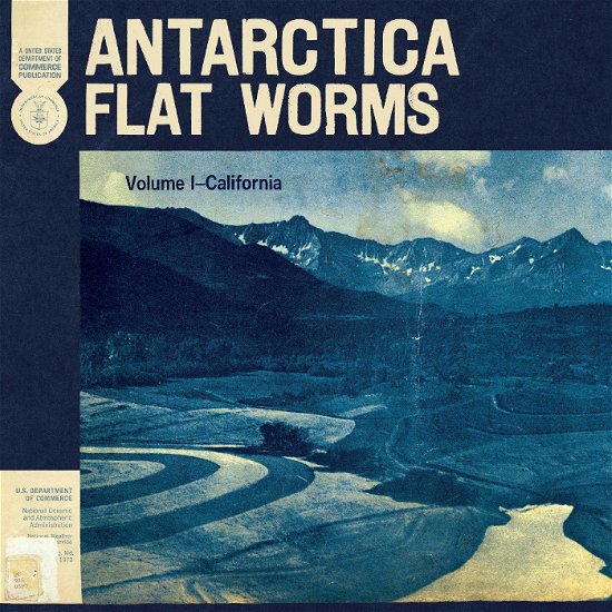Cover for Flat Worms · Antarctica (LP) (2020)