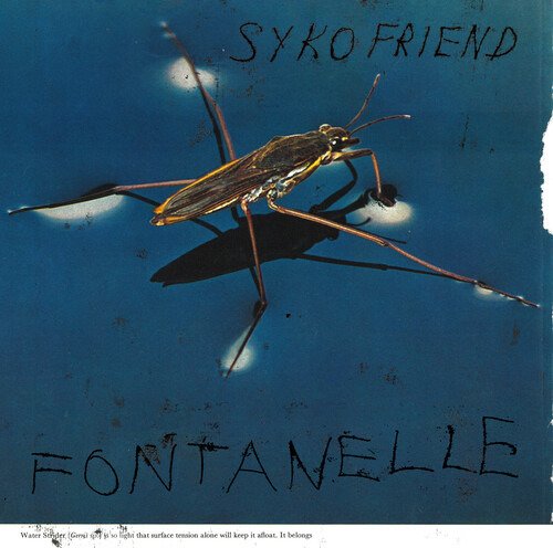 Cover for Syko Friend · Fontanelle (LP) (2020)