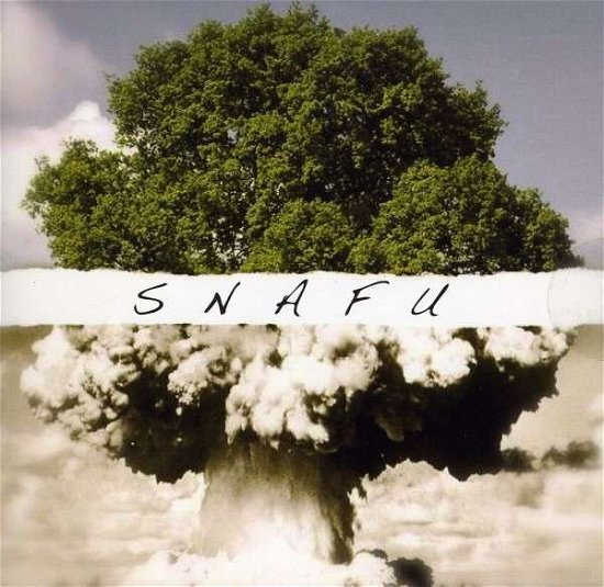 Cover for Snafu (CD) (2010)