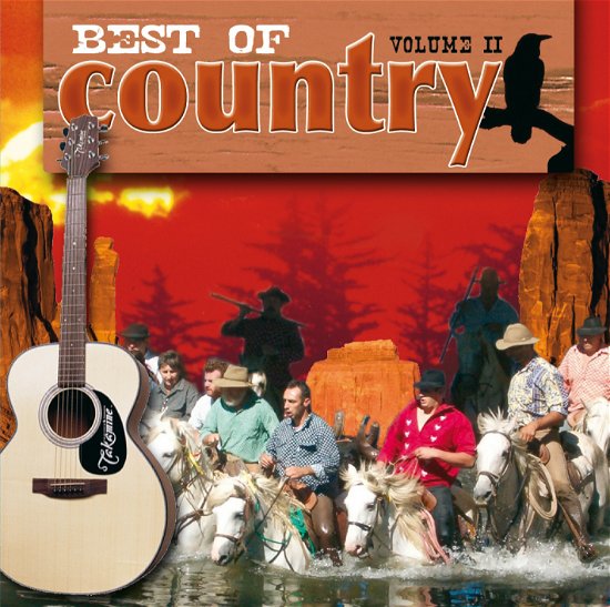 Cover for Various Artists · Best Of Country Vol. 2 (CD) (2016)