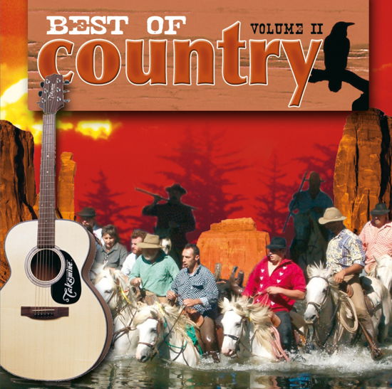 Best Of Country Vol. 2 - Various Artists - Music - Documents - 0885150240816 - May 1, 2016