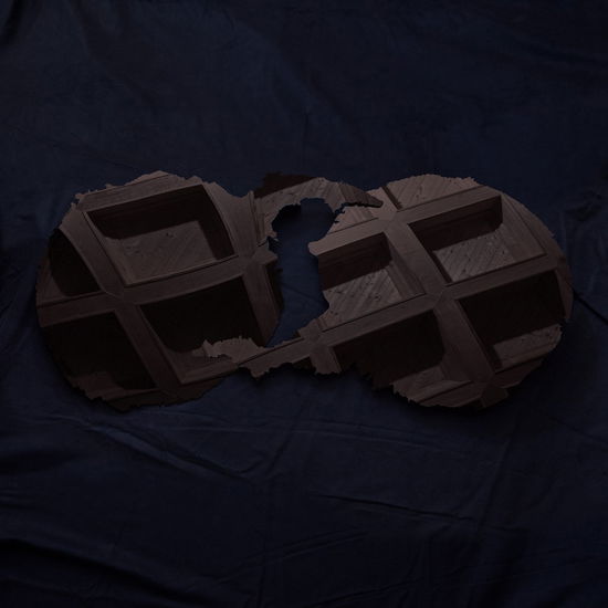 Dirty Projectors - Dirty Projectors - Musik - Hostes - 4582214515816 - 