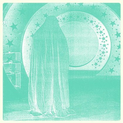 Cover for Hookworms · Pearl Mystic (LP) (2013)