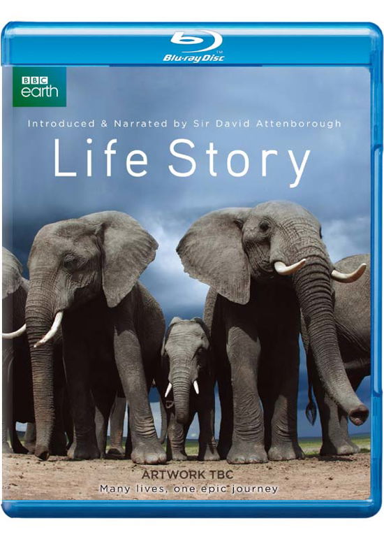 Life Story - David Attenborough - Elokuva - BBC - 5051561002816 - maanantai 1. joulukuuta 2014