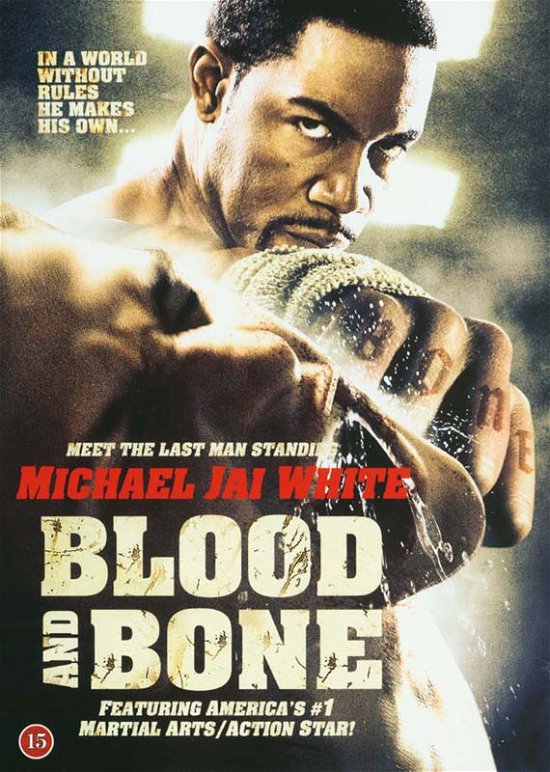Cover for Blood and Bone (DVD) (2014)