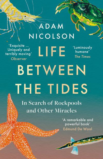 Cover for Adam Nicolson · Life Between the Tides: In Search of Rockpools and Other Adventures Along the Shore (Paperback Book) (2022)