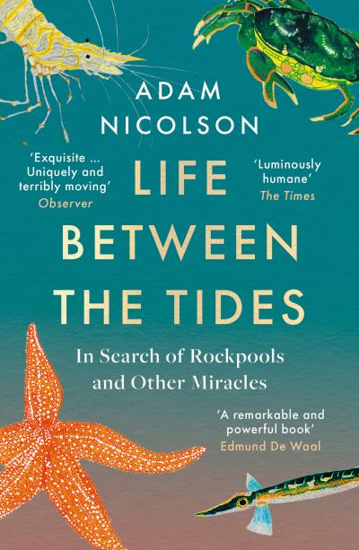 Cover for Adam Nicolson · Life Between the Tides: In Search of Rockpools and Other Adventures Along the Shore (Paperback Book) (2022)