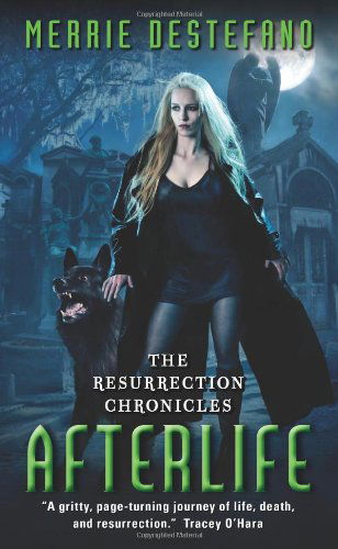 Cover for Merrie Destefano · Afterlife: the Resurrection Chronicles (Paperback Book) (2010)