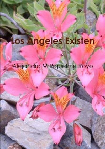 Cover for M Alejandro Riquelme Royo · Los Angeles Existen (Paperback Bog) (2017)