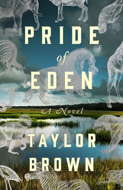 Cover for Taylor Brown · Pride of Eden: A Novel (Hardcover Book) (2020)