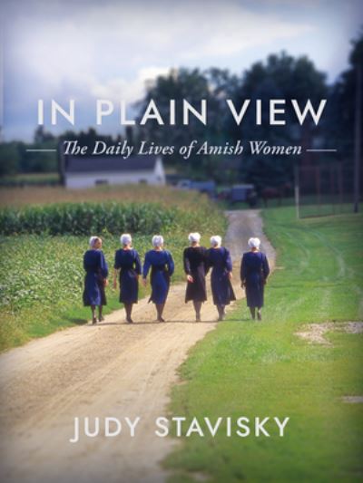 Cover for Judy Stavisky · In Plain View (Hardcover Book) (2022)