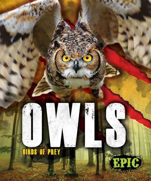 Owls - Birds of Prey - Nathan Sommer - Books - Bellwether Media - 9781626178816 - October 17, 2019