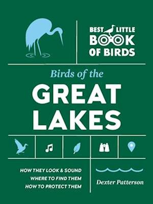 Cover for Dexter Patterson · Birds of the Great Lakes (Paperback Book) (2025)