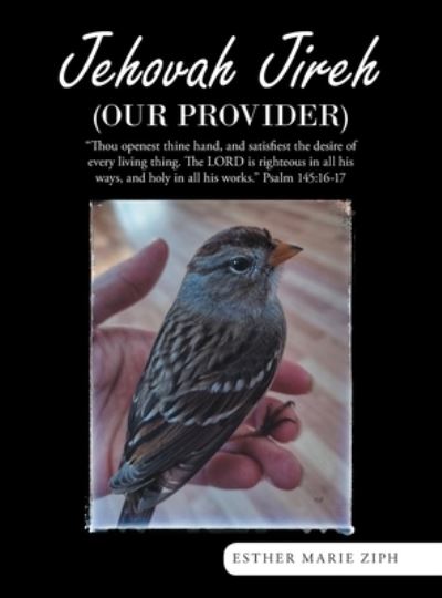 Cover for Esther Marie Ziph · Jehovah Jireh (Our Provider) (Book) (2022)