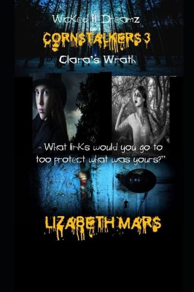 Cover for Lizabeth Mars · Wicked Lil Dreamz-cornstalkers 3 (Paperback Book) (2020)