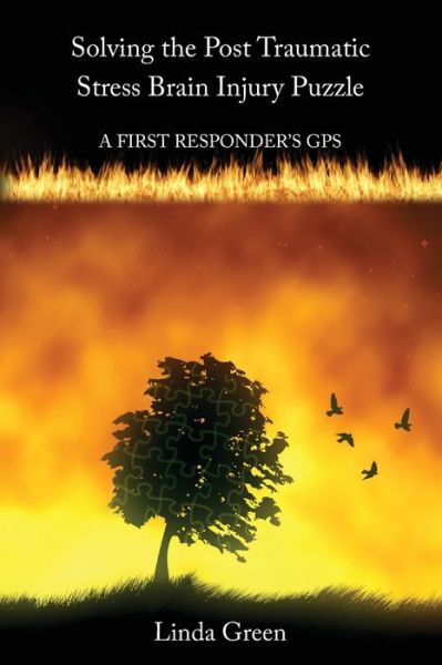 Cover for Linda Green · Solving the Post Traumatic Stress Brain Injury Puzzle (Paperback Book) (2019)