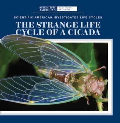 Anna McDougal · Strange Life Cycle of a Cicada (Book) (2024)
