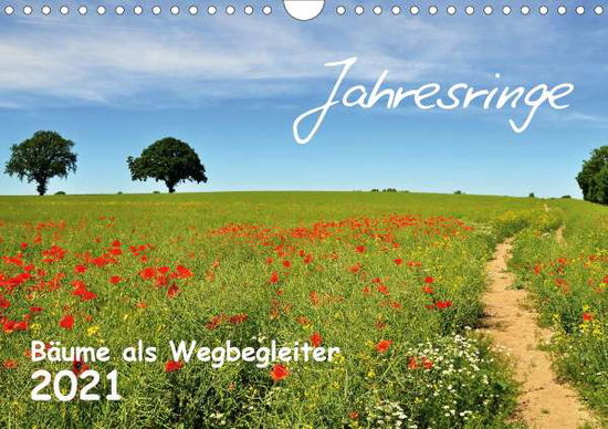 Jahresringe - Bäume als Wegbegleit - Düll - Książki -  - 9783671457816 - 