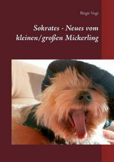 Cover for Birgit Vogt · Sokrates - Neues Vom Kleinen / Grossen Mickerling (Paperback Book) (2015)