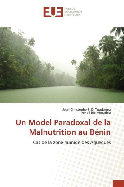 Cover for Toudonou Jean-christophe S D · Un Model Paradoxal De La Malnutrition Au Benin (Taschenbuch) (2015)