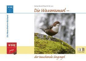 Die Wasseramsel - der tauchende Singvogel - Stefan Bosch - Książki - Wolf, VerlagsKG - 9783894322816 - 1 czerwca 2021