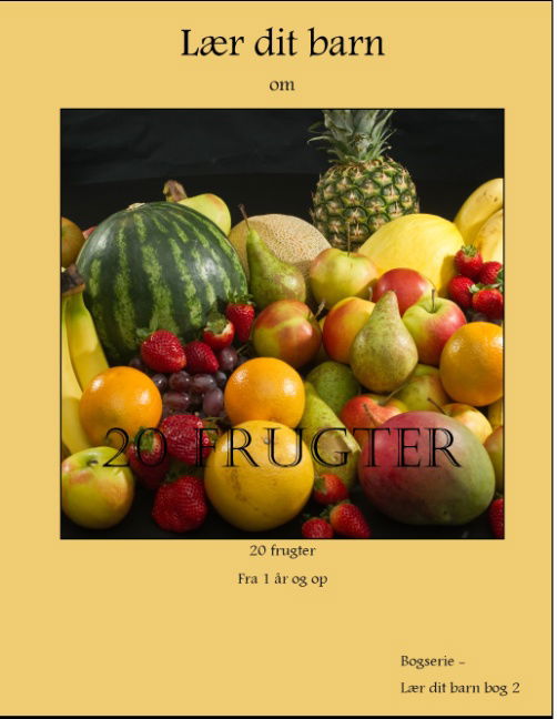 Cover for Martin Jensen · 20 frugter (Hardcover Book) [1st edition] [Hardback] (2013)