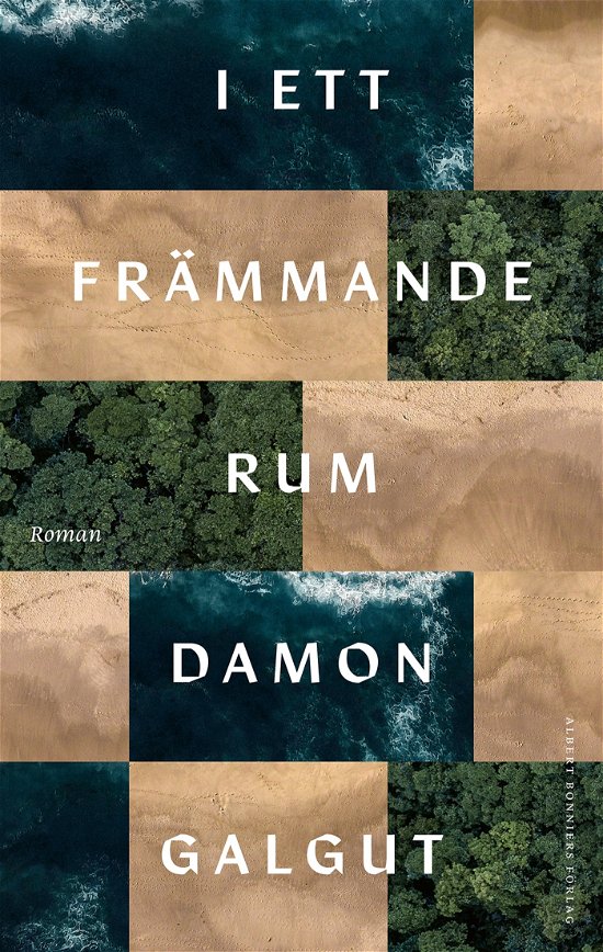 Cover for Damon Galgut · I ett främmande rum (Bound Book) (2024)