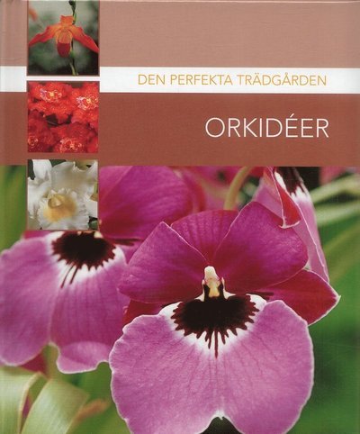 Cover for Den perfekta trädgården: Orkidéer (Bound Book) (2007)
