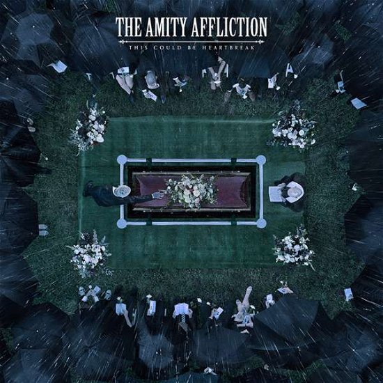 Cover for Amity Affliction · This Could Be Heartbreak (LP) (2016)
