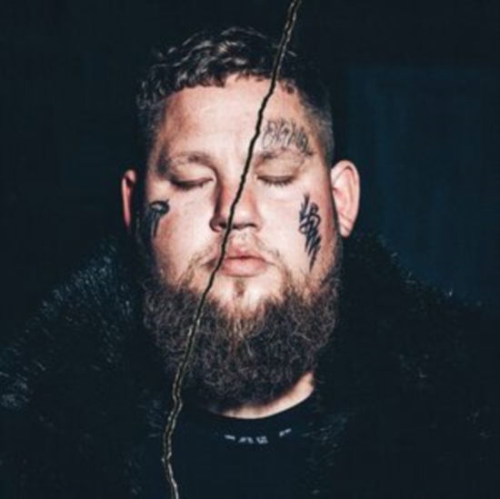 Cover for Rag N Bone Man · Life by Misadventure (LP) (2021)