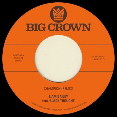 Cover for Liam Bailey · Champion / Ugly Truth (LP) [Remix edition] (2021)