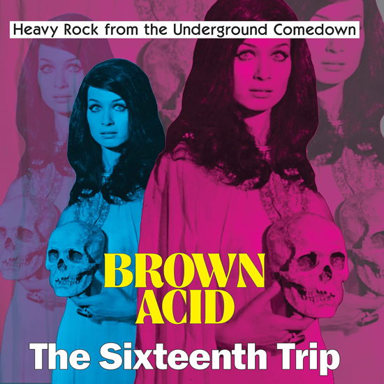 Cover for Brown Acid - Sixteenth Trip / Various · Brown Acid: The Sixteenth Trip (LP) (2023)