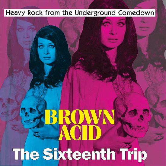 Cover for Brown Acid: The Sixteenth Trip (LP) (2023)