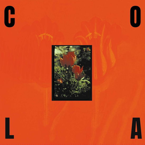 Cover for Cola · The Gloss (LP) (2024)