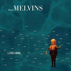 Cover for Melvins · (A) Senile Animal (Translucent Sea Blue Vinyl) (LP) [Limited edition] (2021)