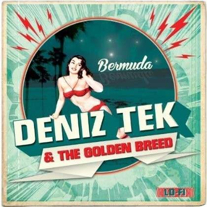 Bermuda - Deniz And The Golden Breed Tek - Musik - CLEOPATRA - 0741157023817 - 9. april 2013