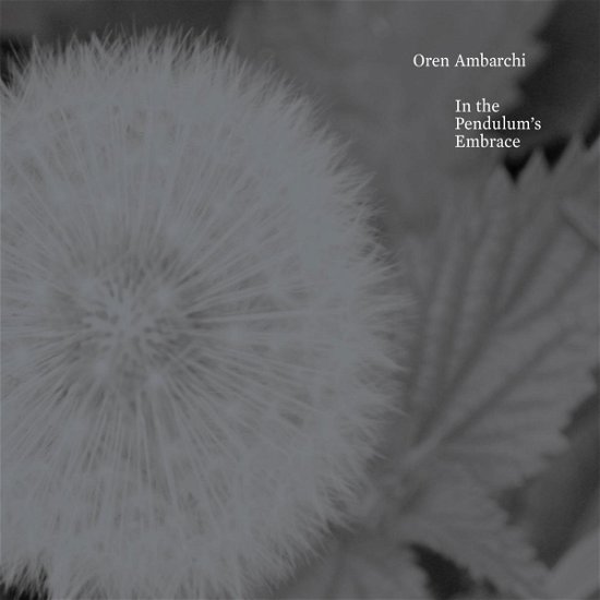 In the Pendulums Embrace - Oren Ambarchi - Musik - SOUTHERN LORD - 0808720007817 - 21. April 2008