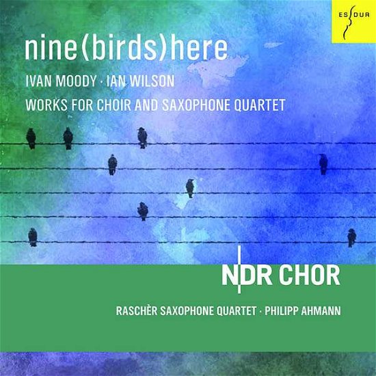 Nine (birds) Here - Ndr Choir & Philipp Ahmann - Musique - ES-DUR - 4015372820817 - 29 janvier 2021