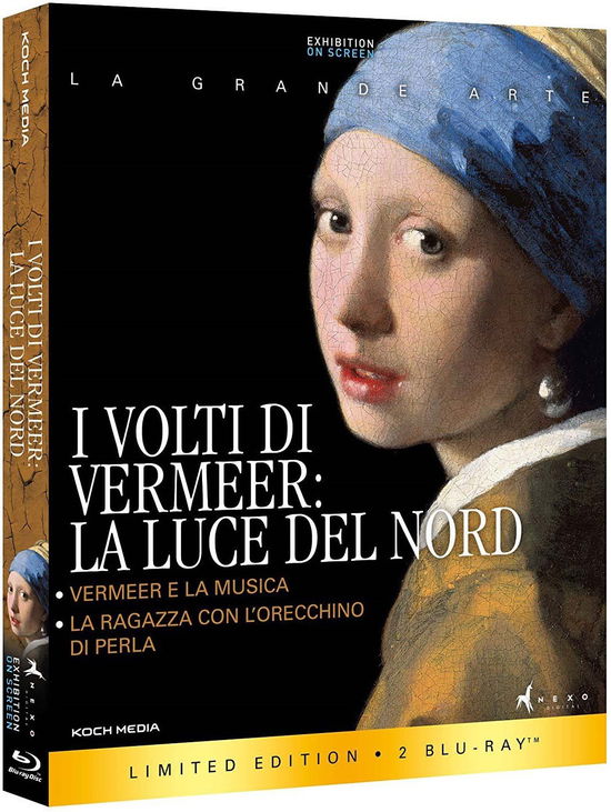 Cover for Documentario · I Volti Di Vermeer: La Luce Del Nord (Blu-ray)