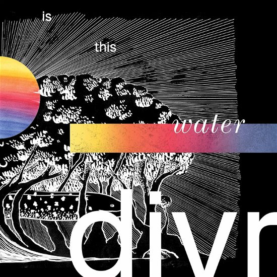 Cover for Divr · Is This Water (CD) (2024)