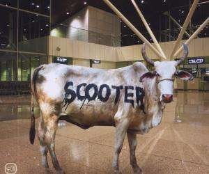 Cover for Scooter · Behind the Cow (SCD) (2007)